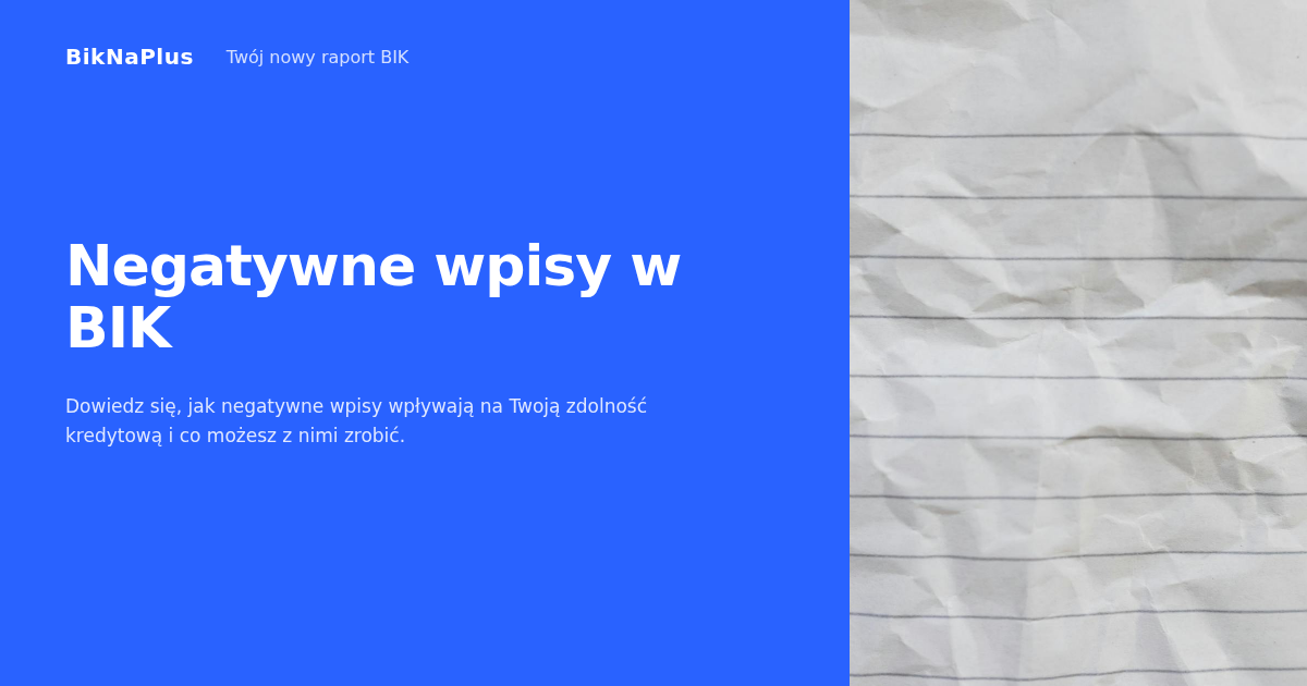 Negatywne wpisy w BIK